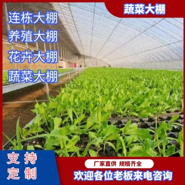 日光温室冬暖式大棚暖棚钢架大棚成套大棚温室大棚蔬菜大棚