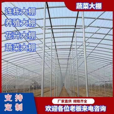 蔬菜大棚简易大棚冷棚小拱棚成套大棚蘑菇棚大棚骨架春秋棚