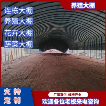 养殖大棚,花卉大棚蔬菜大棚玻璃智能大棚厂家直供