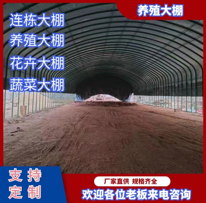 养殖大棚，花卉大棚蔬菜大棚玻璃智能大棚厂家直供