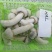 【松茸】松茸速冻片二级三级,量大从优,产地直发高品质