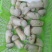 【松茸】松茸速冻片二级三级,量大从优,产地直发高品质
