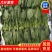 【推荐】安阳精品大叶菠菜大量供应产地一手货源欢迎咨询