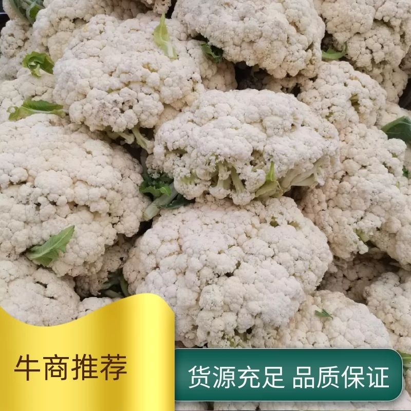 精品有机菜花，产地发货，超市，平台，市场档口，脱水厂