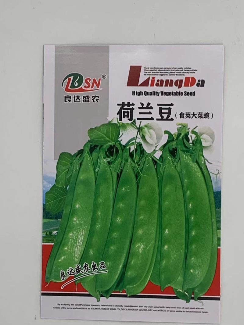 优质荷兰豆种子适应性广口感清脆爽口适应性强