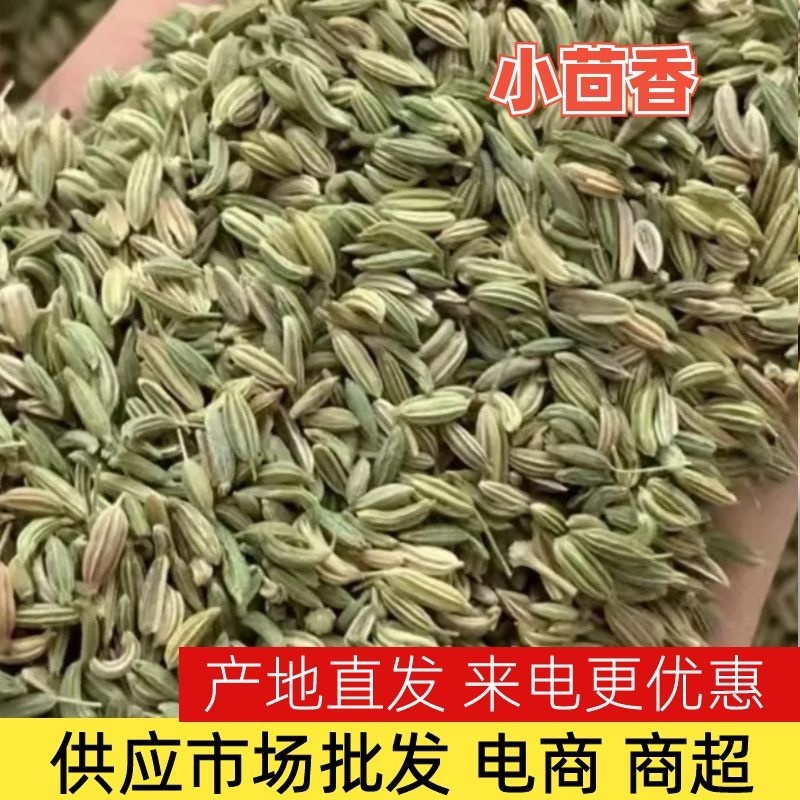 小茴香调味料小茴香产地直发可做香料、种子欢迎咨询