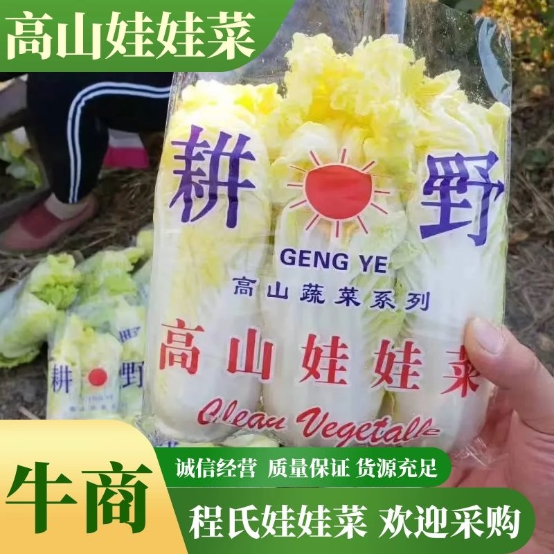 高山娃娃菜，毛菜净菜规格齐全，对接市场、商超，产地直发