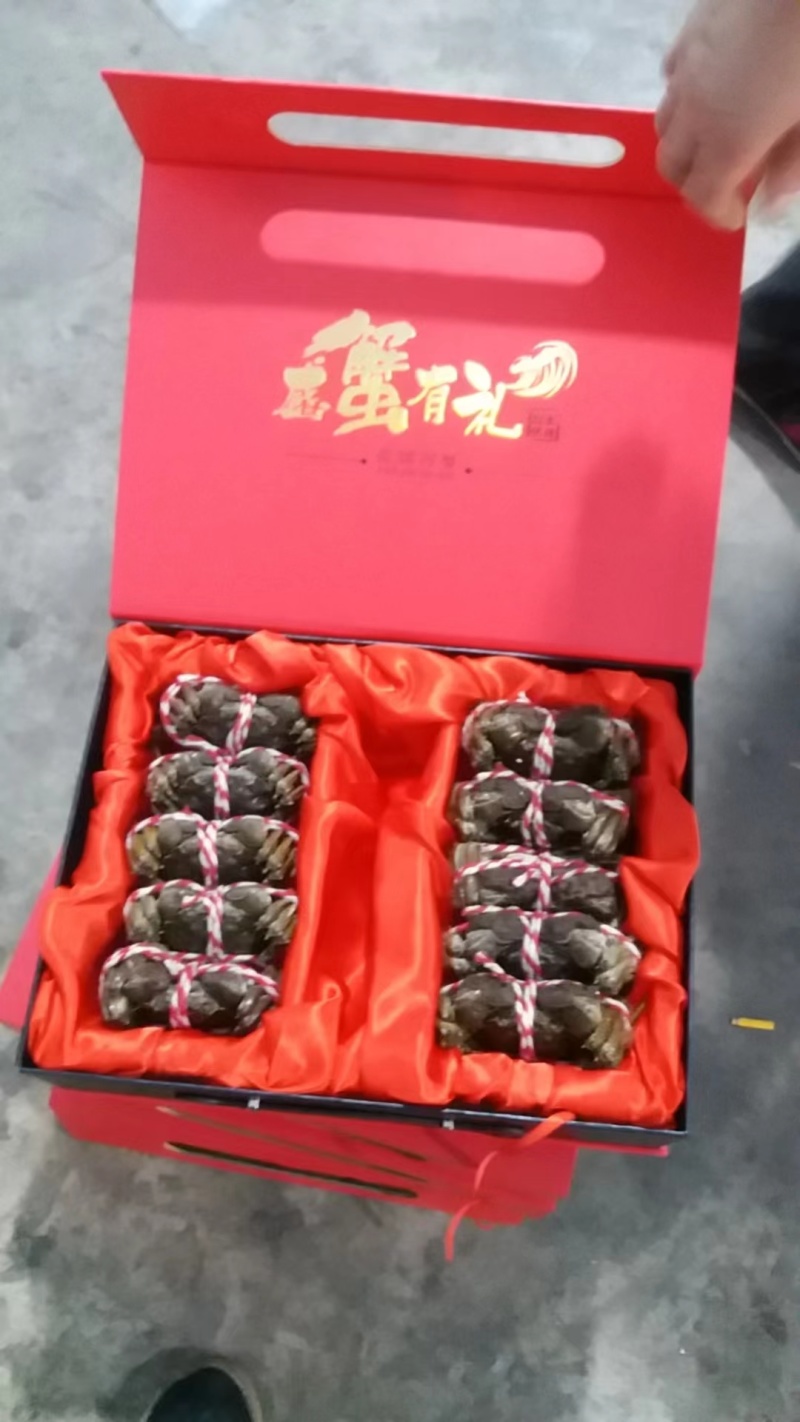 河蟹盘锦河蟹一手货源视频看货品质保证以质论价