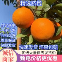 精品推荐一件代发精品脐橙十斤装自家果园无中间商