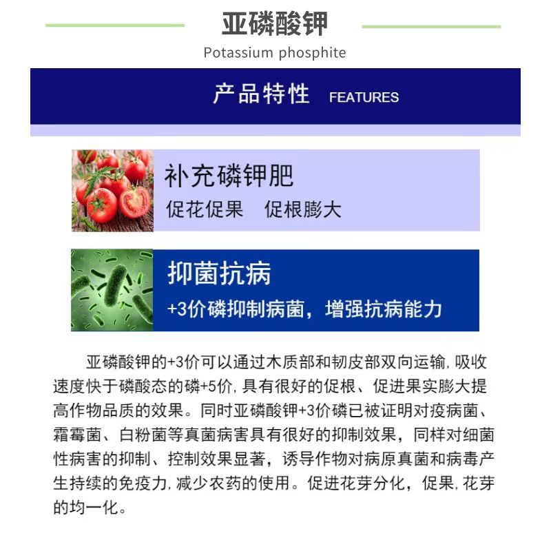 亚磷酸钾大量元素防溃疡控稍膨果叶面肥水溶肥磷钾肥