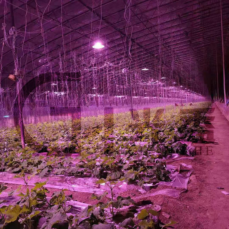 光盉36W葡萄甜瓜温室生长全光谱LED植物补光灯避免旺长