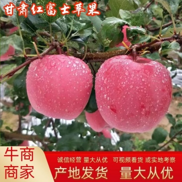 甘肃苹果冰糖心红富士新鲜果脆甜多汁稳定供货价格便宜
