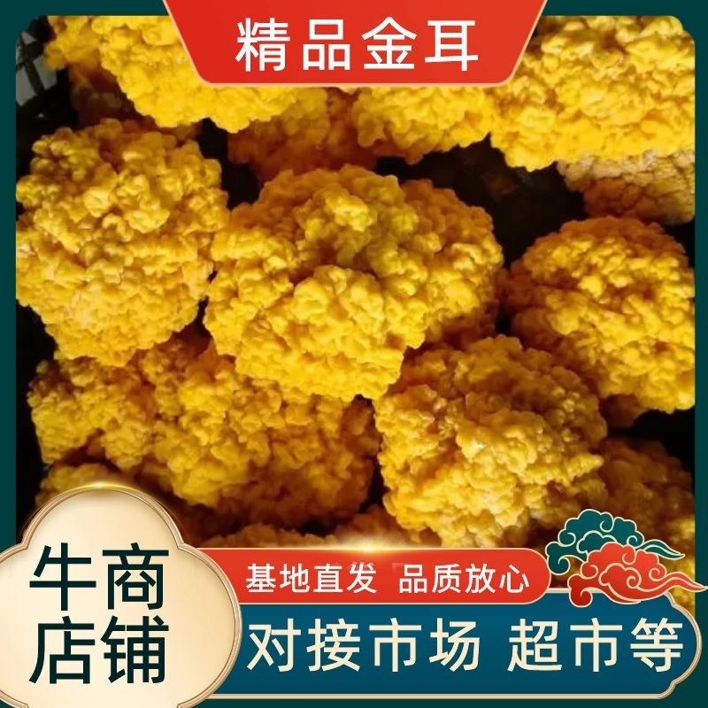 基地金耳菌量大从优长期供货欢迎全国老板前来考察洽