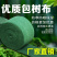 裹树布防寒布树木保温保湿布带绿化包树干棉布条缠树布