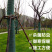 裹树布防寒布树木保温保湿布带绿化包树干棉布条缠树布