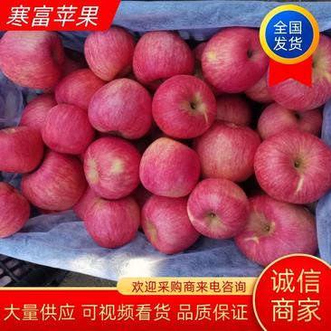 【苹果】辽宁寒富苹果大量供应颜色好个头匀全国发货