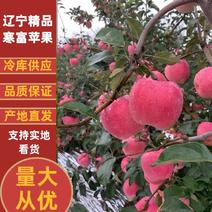 【好货】苹果辽宁寒富苹果冷库货供应市场电商商超
