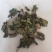 薄荷新货野生薄荷颜色好味道浓中药材批发供应