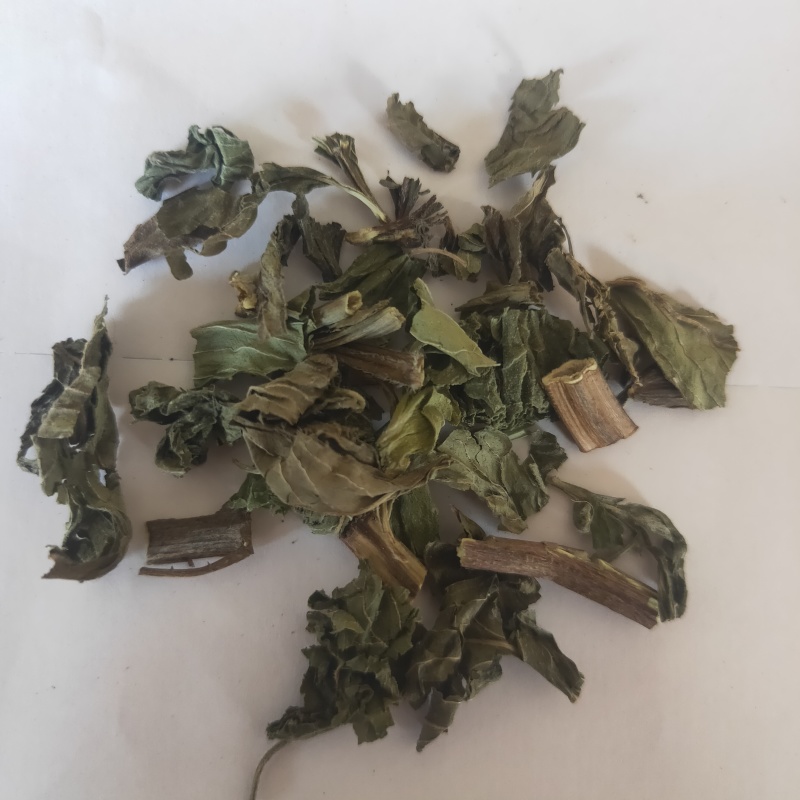 薄荷新货野生薄荷颜色好味道浓中药材批发供应