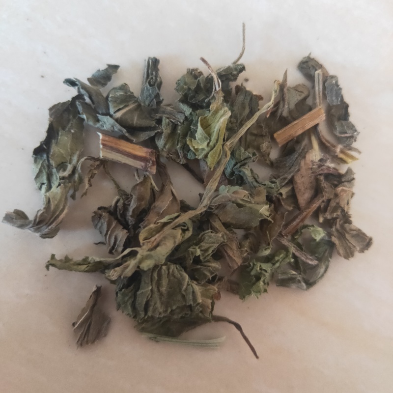薄荷新货野生薄荷颜色好味道浓中药材批发供应
