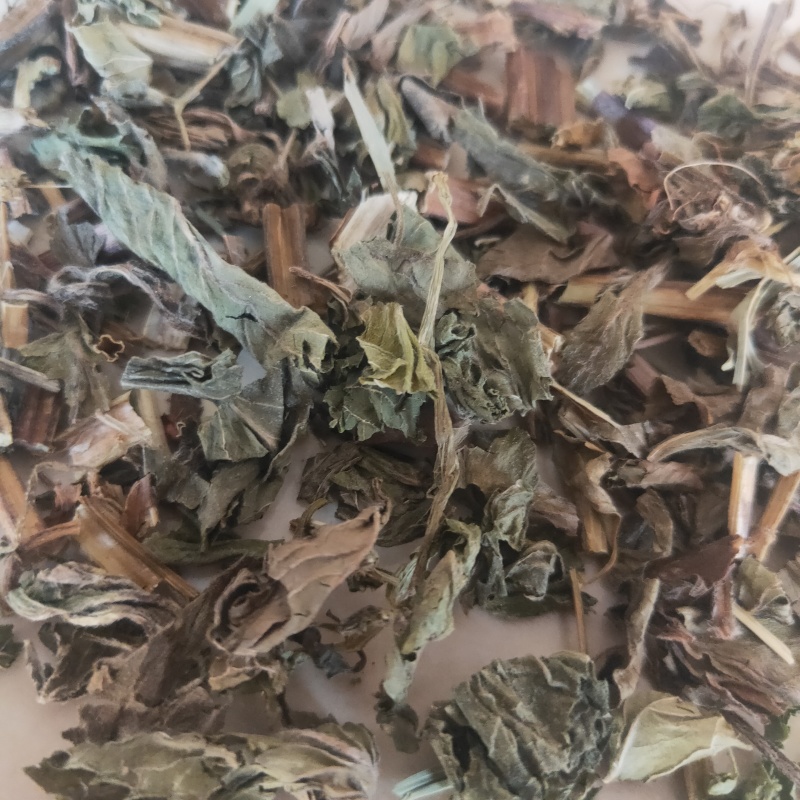 薄荷新货野生薄荷颜色好味道浓中药材批发供应