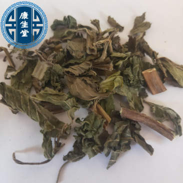 薄荷新货野生薄荷颜色好味道浓中药材批发供应