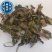 薄荷新货野生薄荷颜色好味道浓中药材批发供应