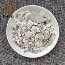 蛤壳海蛤壳山东产地直发大量供应七彩百草中药材批发