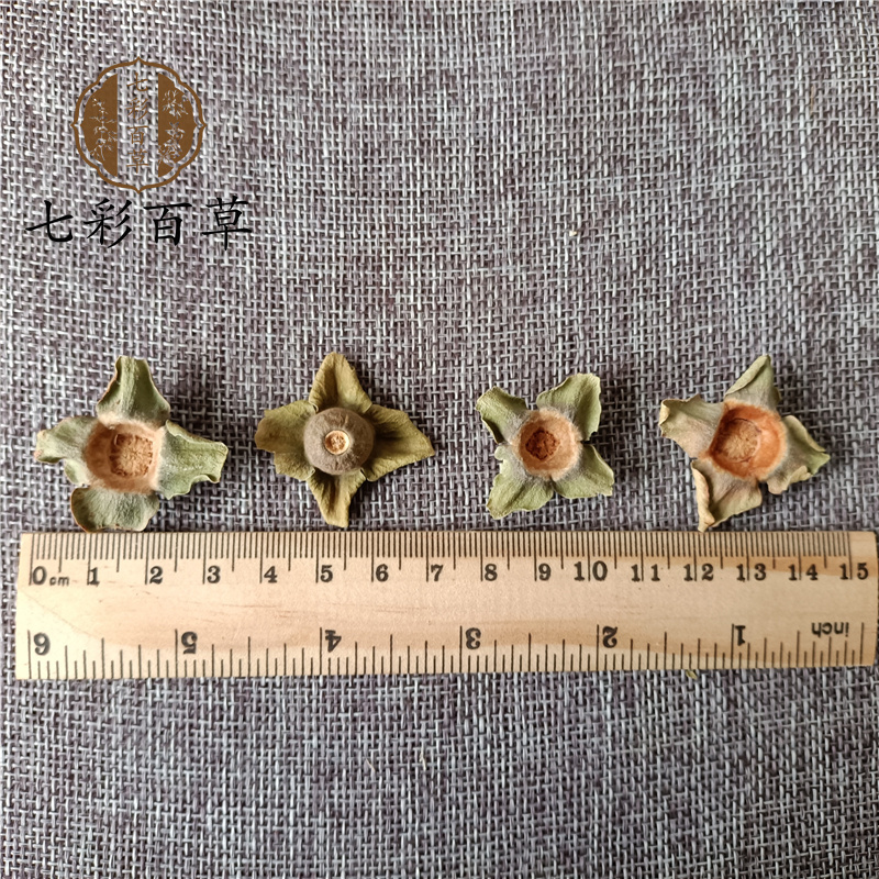 柿楴柿蒂山东产地货源大量供应七彩百草中药材批发