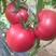 普罗旺斯西红柿水果番茄对接各级市场电商社区团购订单