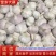 金乡大蒜，通货，紫红皮，大量供应，代发全国