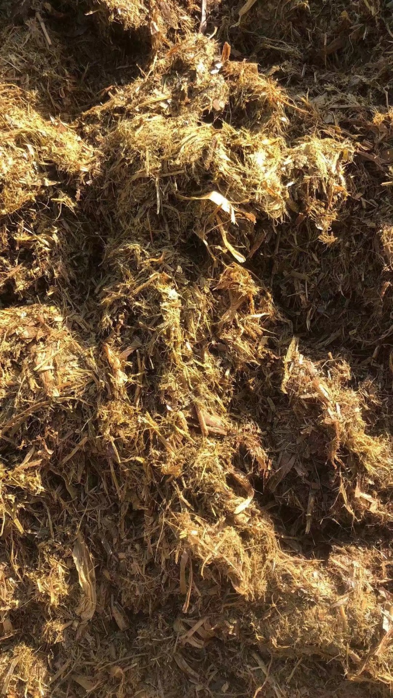 青贮玉米秸秆，原产地直发，