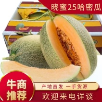 【优选】海南晓蜜25号哈密瓜质量三包接电商平台社区团购批