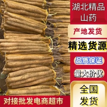 【山药】湖北襄阳麻山药新鲜山药大量供产地直发全国发货