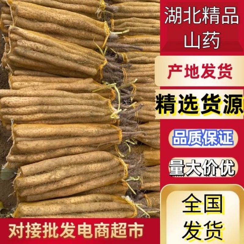 【山药】湖北襄阳麻山药新鲜山药大量供产地直发全国发货