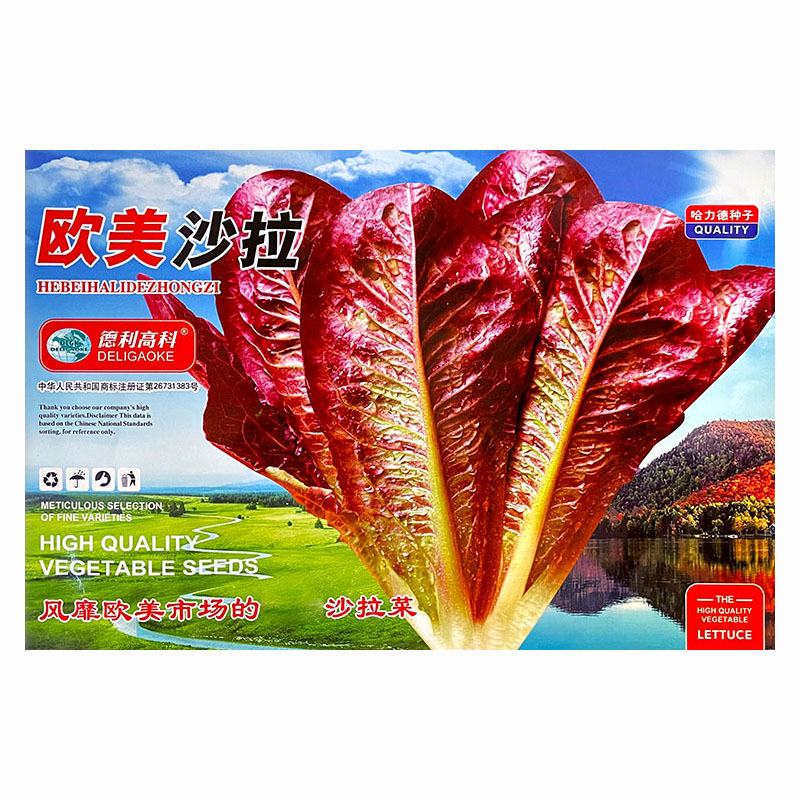 紫孔雀菜种子生菜种籽散装耐寒四季速生阳台盆栽沙拉菜