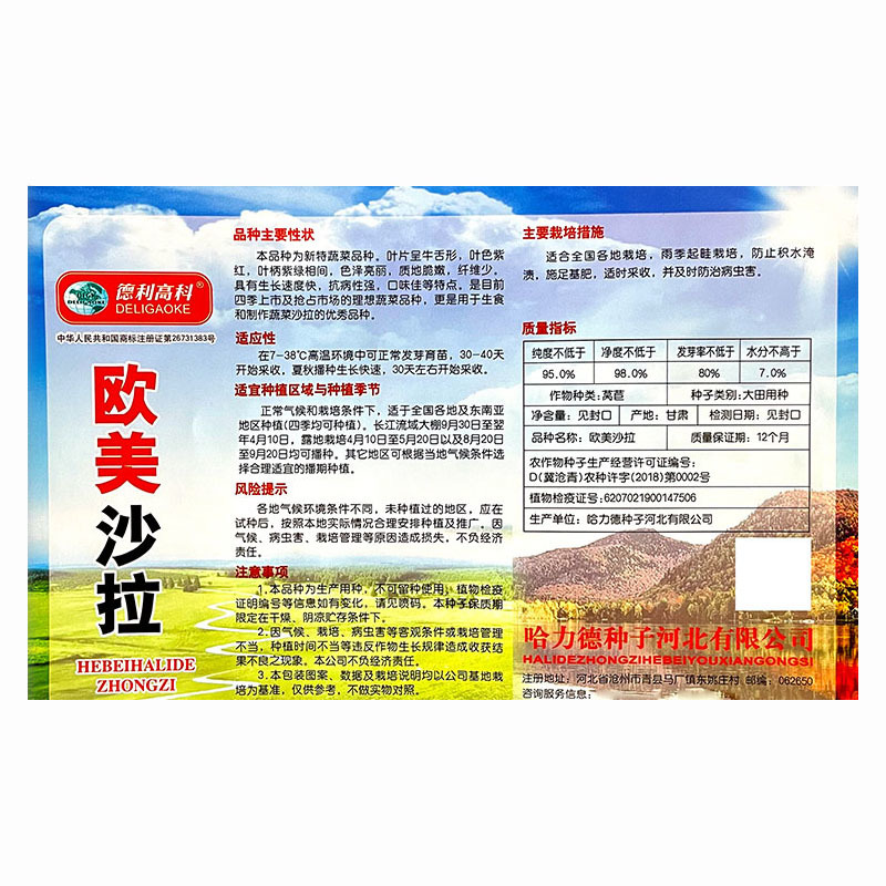 紫孔雀菜种子生菜种籽散装耐寒四季速生阳台盆栽沙拉菜