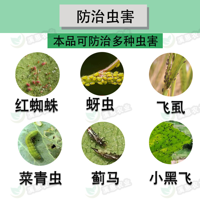 10%吡虫啉正品吡虫啉棉花作物蔬菜果树花卉蚜虫通用进农药