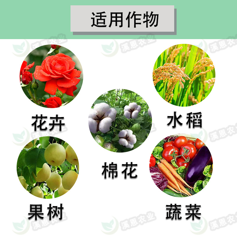 10%吡虫啉正品吡虫啉棉花作物蔬菜果树花卉蚜虫通用进农药