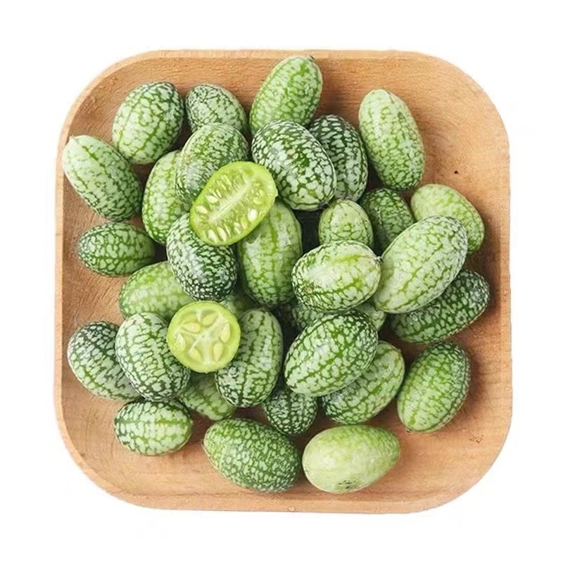 拇指西瓜种子懒汉结瓜多耐种植易管理产量高品质好