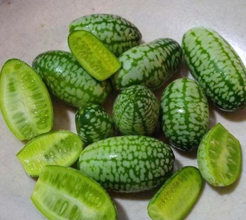 拇指西瓜种子懒汉结瓜多耐种植易管理产量高品质好