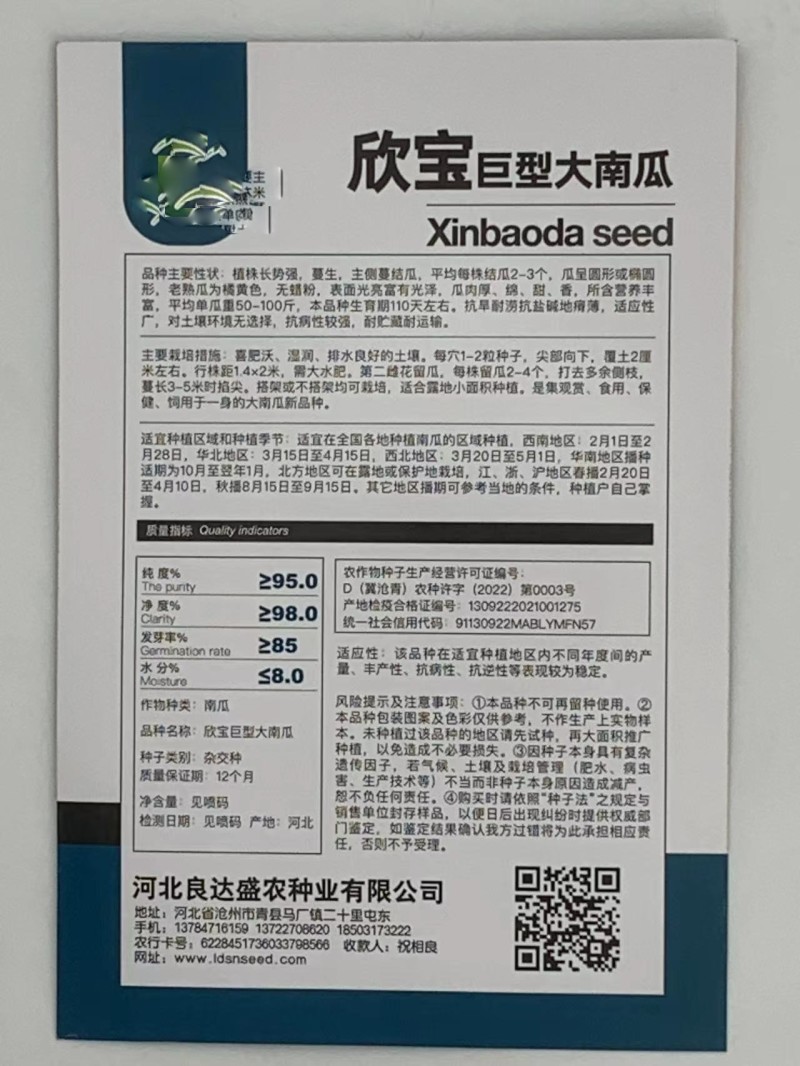 巨型南瓜种子巨型大南瓜耐种植鲜香味浓美味可口易成活