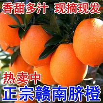 【老店推荐】赣南脐橙产地直发大量预售中价格美丽