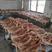 【热卖】乳猪整只2-20公斤厂家直发保证新鲜常年供应