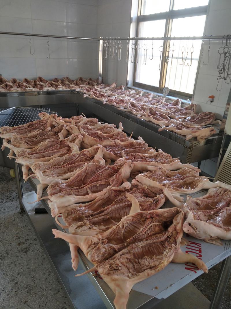 【热卖】乳猪整只2-20公斤厂家直发保证新鲜常年供应