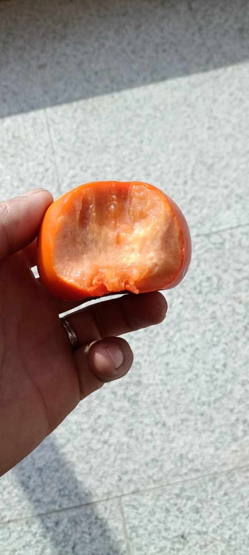 宝鸡阳丰甜市子。一手货源量大从优有需要联系。