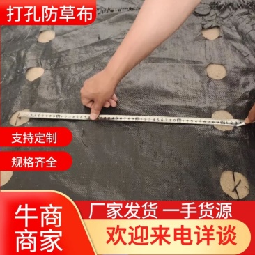 定制药材种植打孔防草布，整卷打孔防草布，单张打孔防草布，