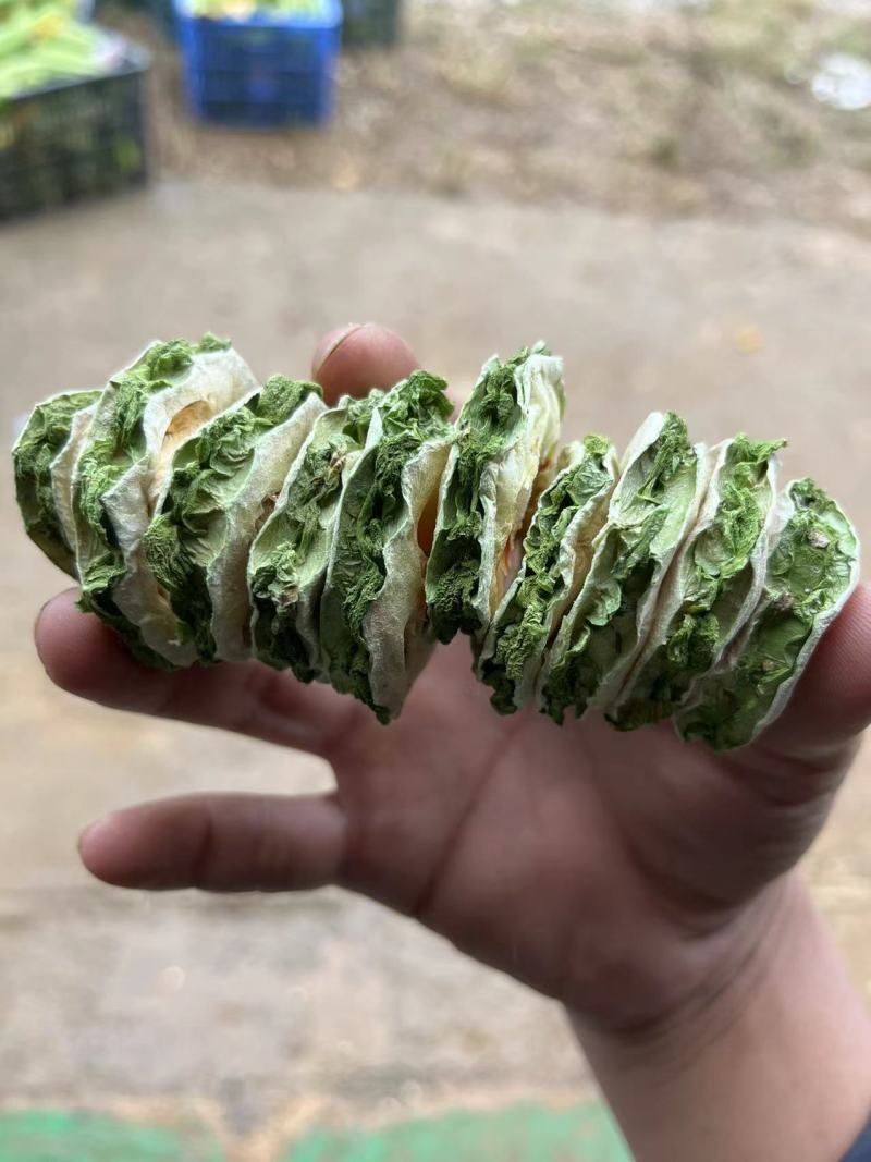 苦瓜干无苦瓜籽广西直供一手货源量大从优