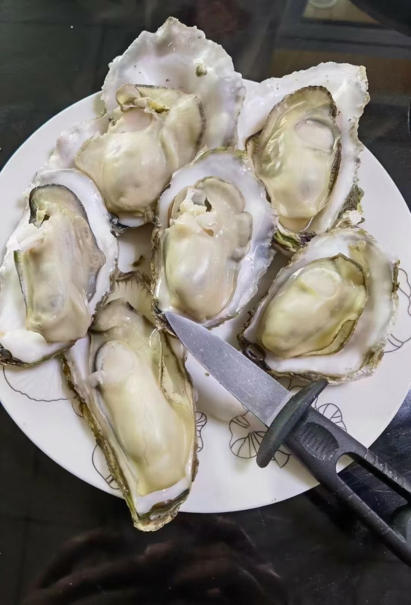 好品山东.礼飨中国.新春佳节送蚝礼乳山牡蛎更满意