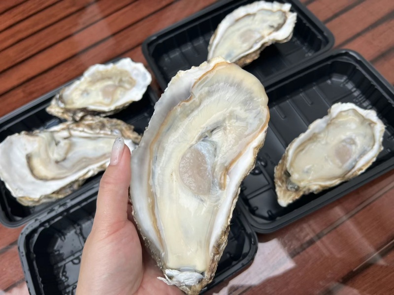 好品山东.礼飨中国.新春佳节送蚝礼乳山牡蛎更满意